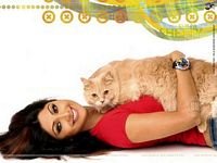 pic for Shshilpa Shetty